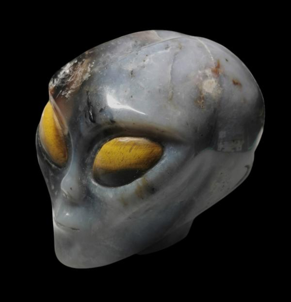 Alien Skull Black Agate